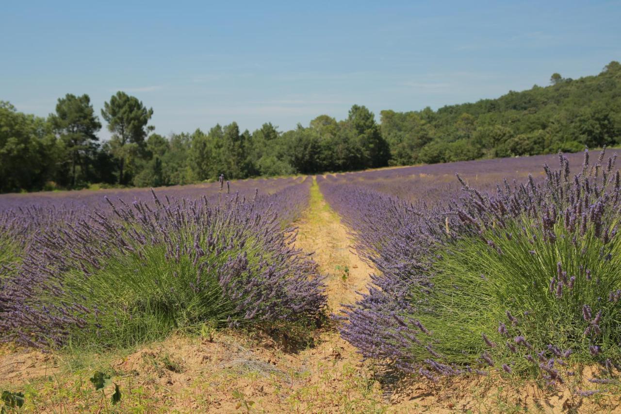 Bed and Breakfast Les Yourtes De Provence Saint-Paulet-de-Caisson Exteriér fotografie